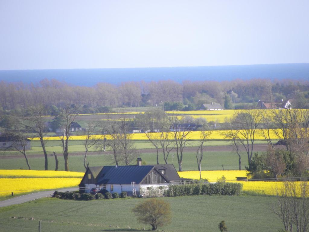 Glimminge Bed & Breakfast Simrishamn Exterior foto