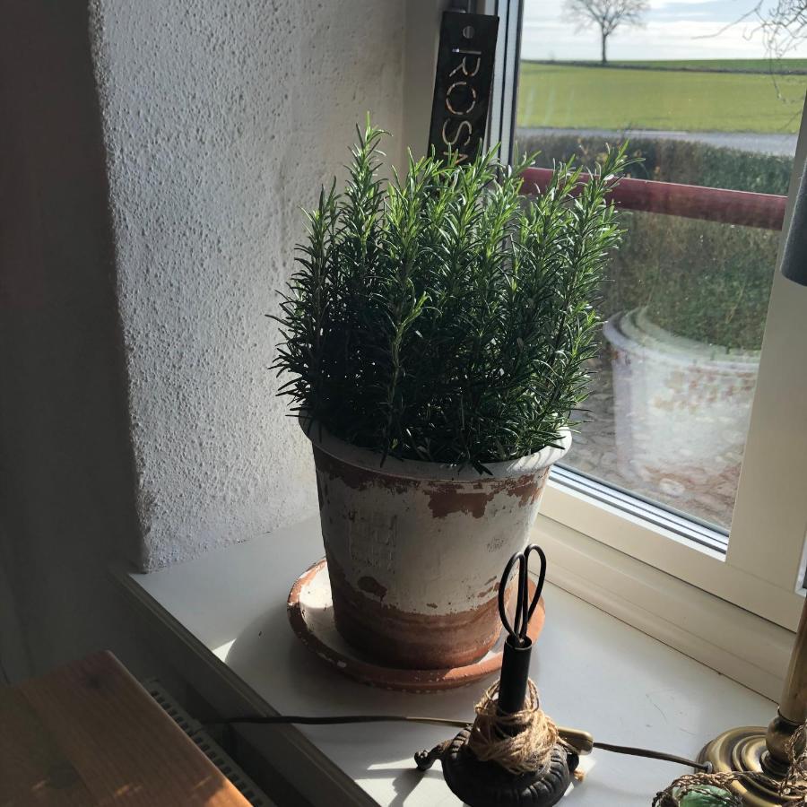 Glimminge Bed & Breakfast Simrishamn Exterior foto
